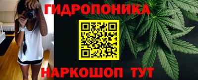 дурь Кингисепп