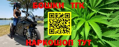 дурь Кингисепп