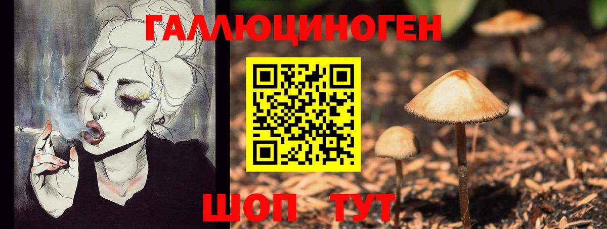 Аксай  Псилоцибиновые грибы мухоморы  Вход с VPN 